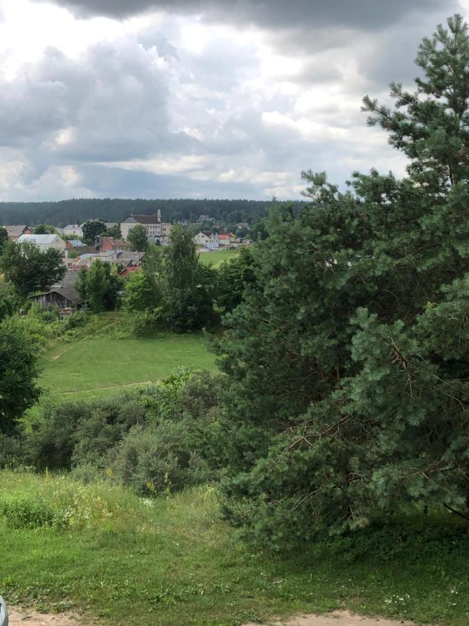 Kraslava City Apartment Dış mekan fotoğraf